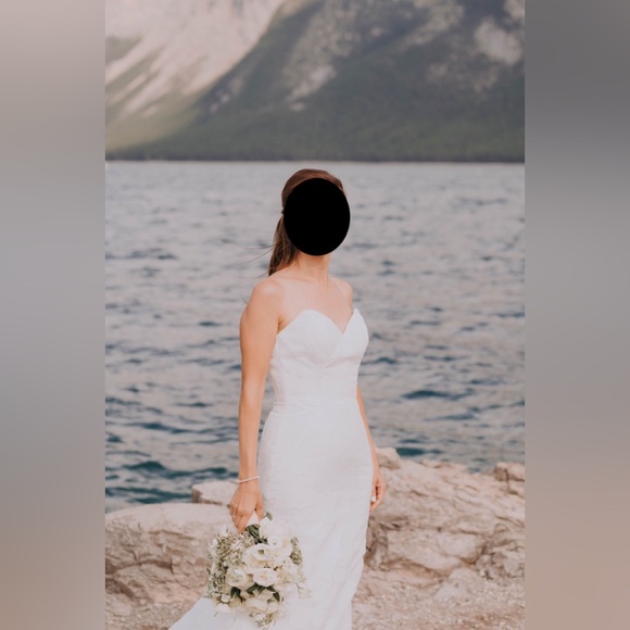 Anne Barge Blue Willow Wedding Dress (Walker style) - Picture 2 of 16